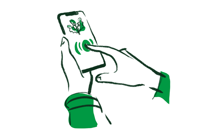 WhatsApp Dienst